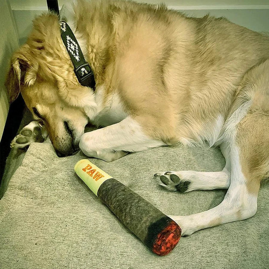 Pooch Stogie™ - Funny Dog Chew Toy