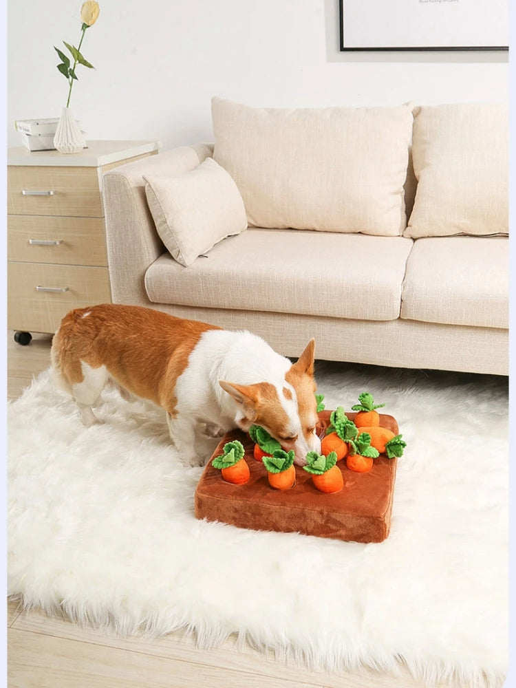 Carrot Patch™ - Dog Toy for Chewing, Digging and Pulling