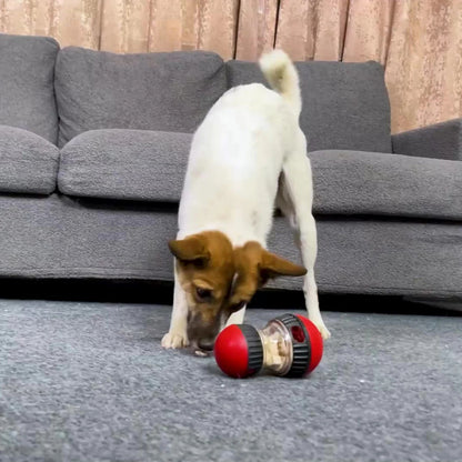 Feed Ball™ - Slow feeding ball for dogs